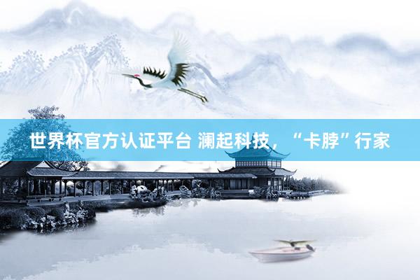 世界杯官方認證平臺 瀾起科技,“卡脖”行家